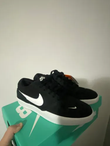 Nike Sb force 58