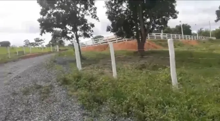 Pitangui/MG - Fazenda 67ha