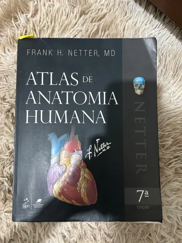Anatomia Netter