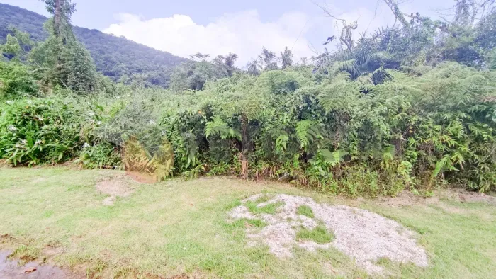 Terreno à venda, 384 m² por R$ 320.000 - Massaguaçu - Caraguatatuba/SP