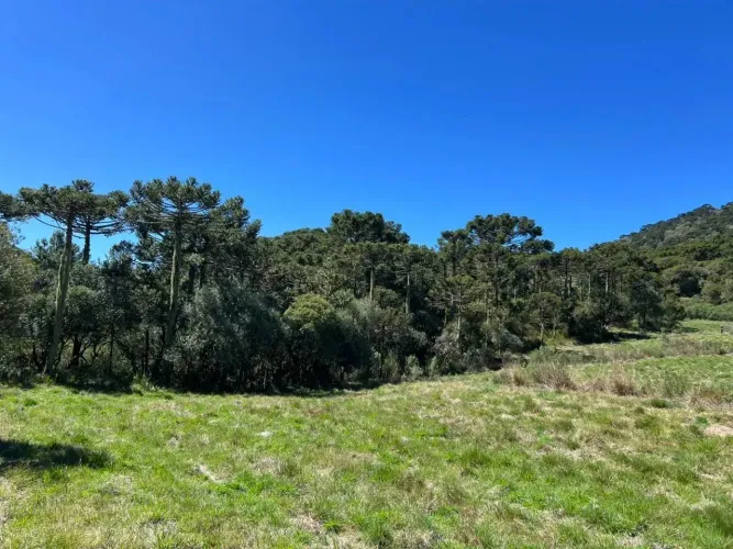 Pousada com 5 suítes e área total de 60.000,00 m² em Vacas Gordas, Urubici/SCi