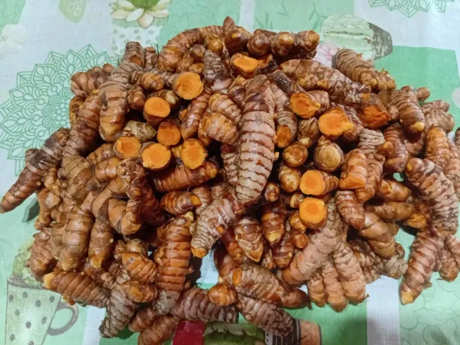 vendo açafrão