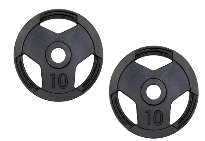 KIT Anilha 2 peças de 10kg = 20kg Sport Pintada Musculação Treine em casa