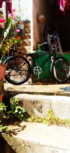 bicileta / bike montadinha