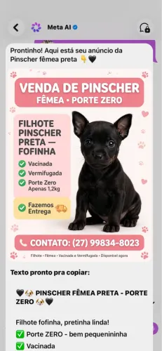 Pinscher 
