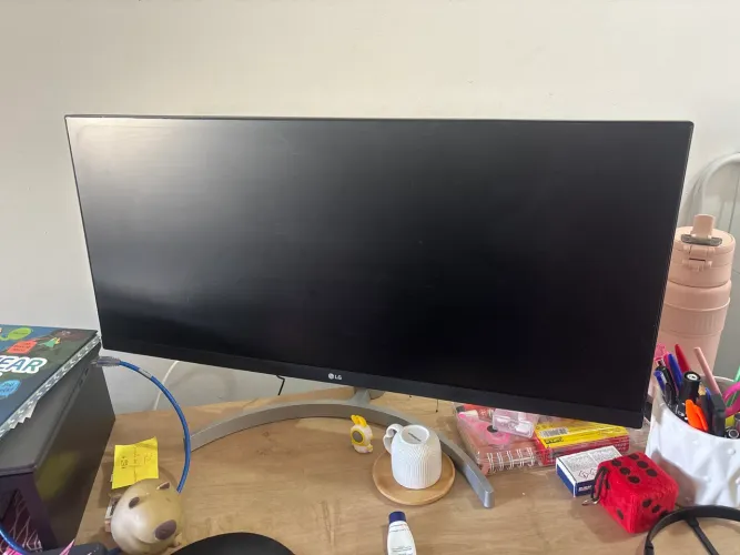 Monitor LG 29WK600