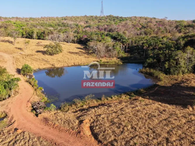 Fazenda 42,70 Alqueires (206 Hectares) Jaraguá - GO