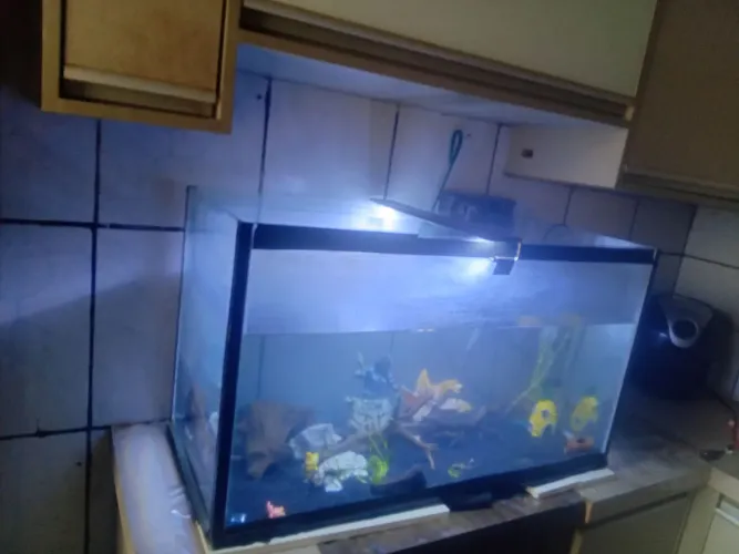 Aquario 200 litros
