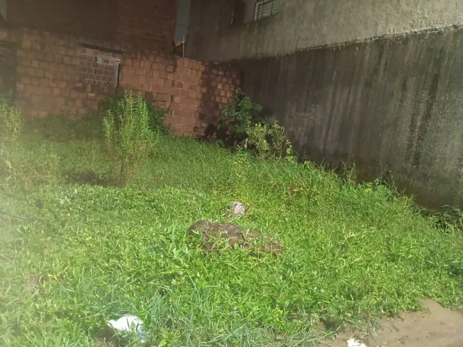 Terreno em Nova Morada
