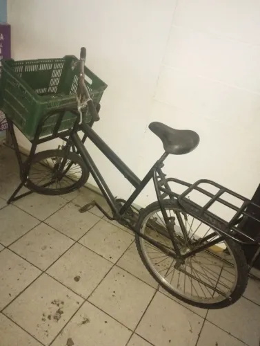 Bicicleta de carga