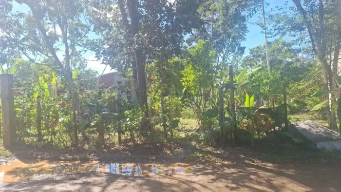 Terreno 2 km da praia em Serra Grande
