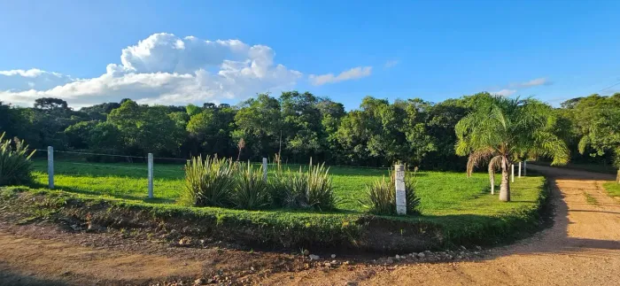 Chácara à venda, 6.000m², tanque de peixes, CAMPESTRE DA FAXINA, SÃO JOSÉ DOS PINHAIS - PR