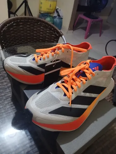 Tenis