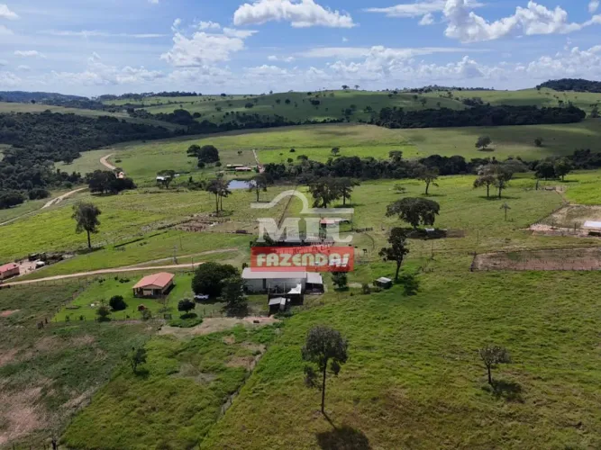 Fazenda 71,69 Alqueires (347,08 hectares) Itauçu - GO