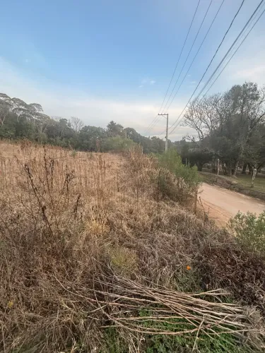 Terreno 14.442m2 em Agudos do Sul/PR