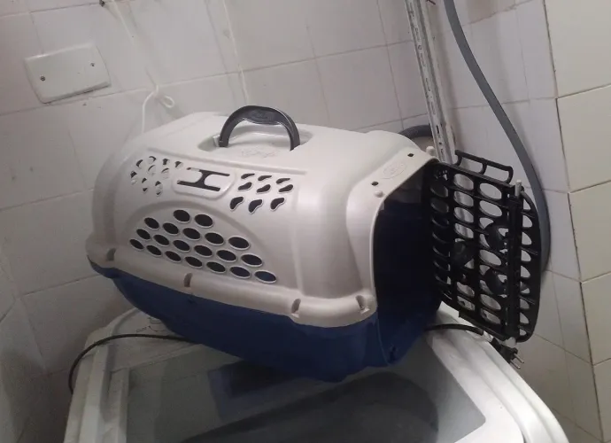 Caixa transporte pra gato grande