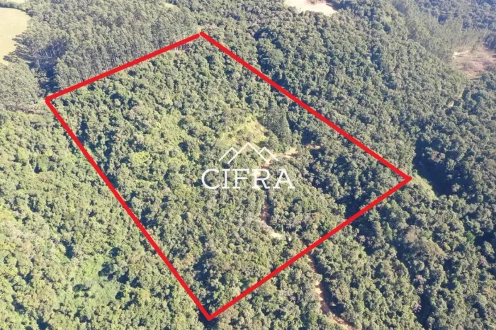 Terreno Rural - Venda - 42985m2 - Investimento - Localidade Ribeirão Matador - Rua Gustavo
