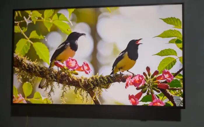TV Samsung 43