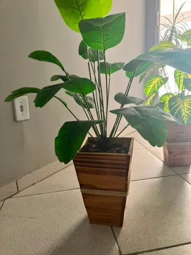 Planta Decorativa em Vaso de Madeira