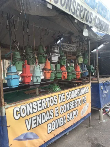 Bomba sapo
