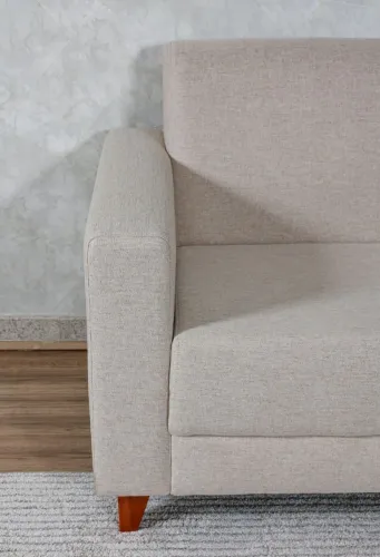 Sofá elegante para sala de estar