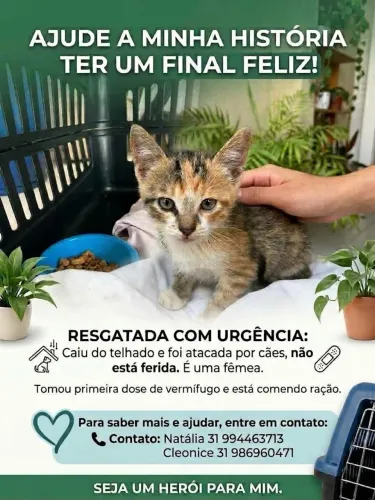 Doação 