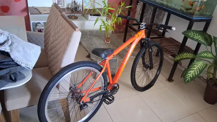 Bicicleta aro 29