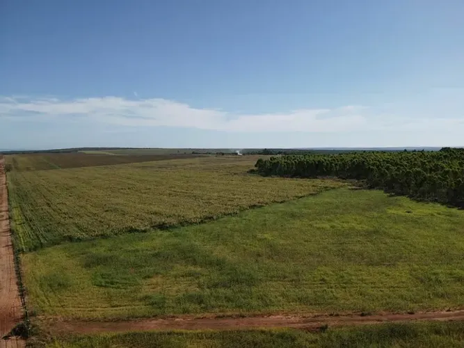 FAZENDA DE OPORTININADE TOCANTINS