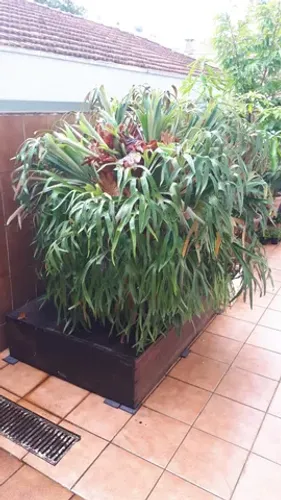 Chifre de Veado/Vaso/40 anos/Decoração