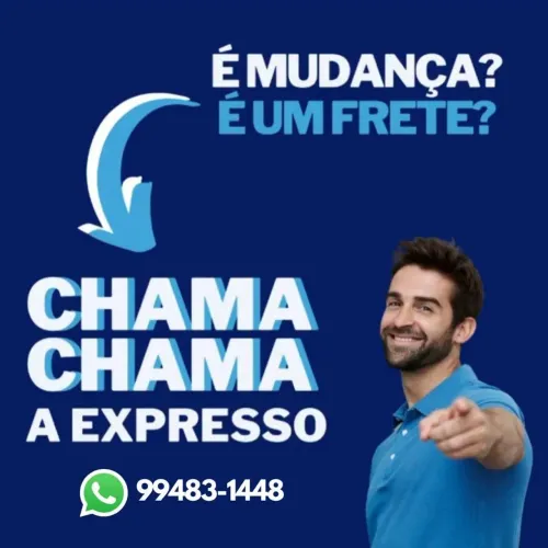 Fretes e Viagens 