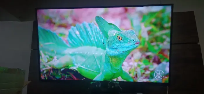 Smart TV 49" Full HD (Ótima para Quarto ou Sala)