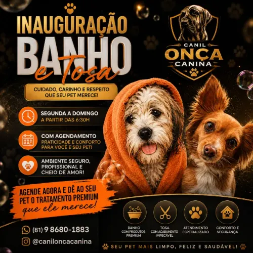 banho e tosa - caruaru