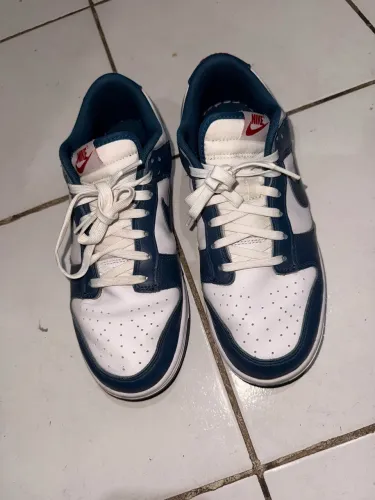 Tênis Nike Dunk