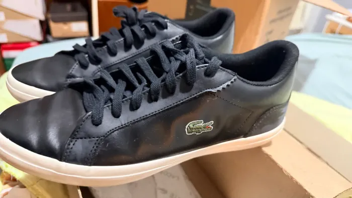 Sapato original Lacoste na Caixa