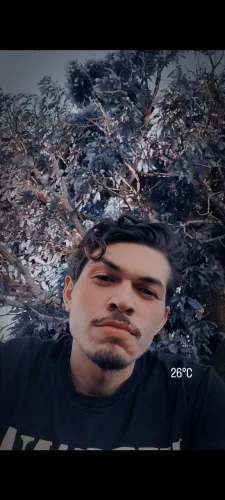 Vendedor