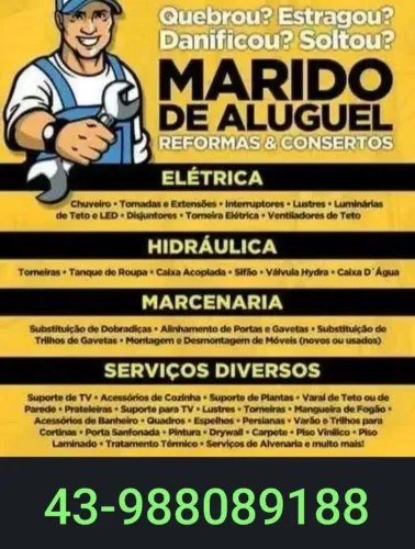Marido de aluguel