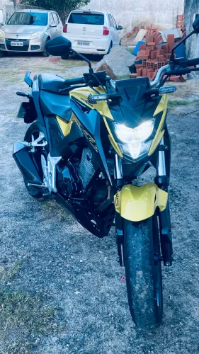 Vendo Twister 300F 2023