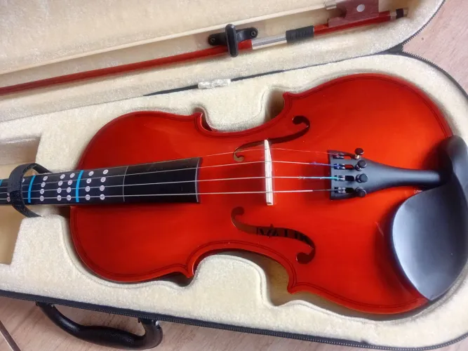 Violino