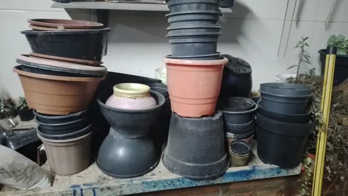 Lotes de vasos de plastico