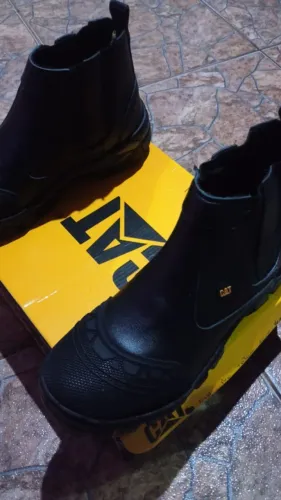 Bota