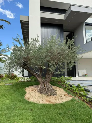 Sobrado à Venda - Condomínio Jardins Lisboa | Goiânia - GO