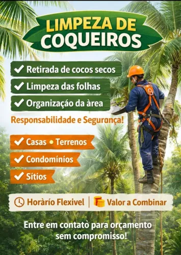 Limpeza de coqueiros 