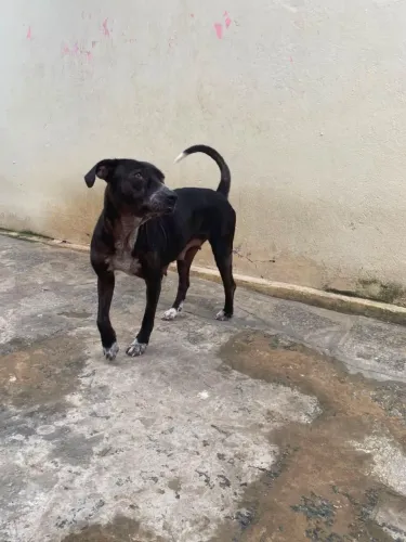 Doação 