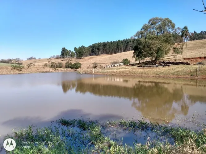 Sítio 25 Alqueires, 5 Alqueires com Eucalipto, Bom de Água, Lago, Terra Vermelha, Casa pra
