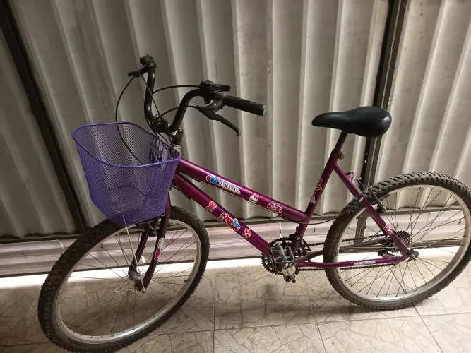 Bike Feminina com Cestinha (Aceito Cartão)