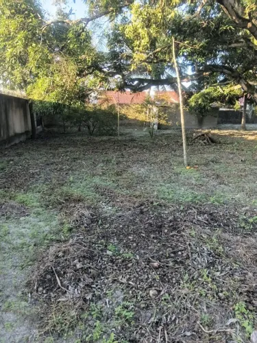 Terreno