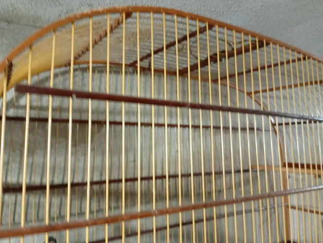 Gaiola