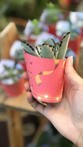 Lembrancinhas para Natal