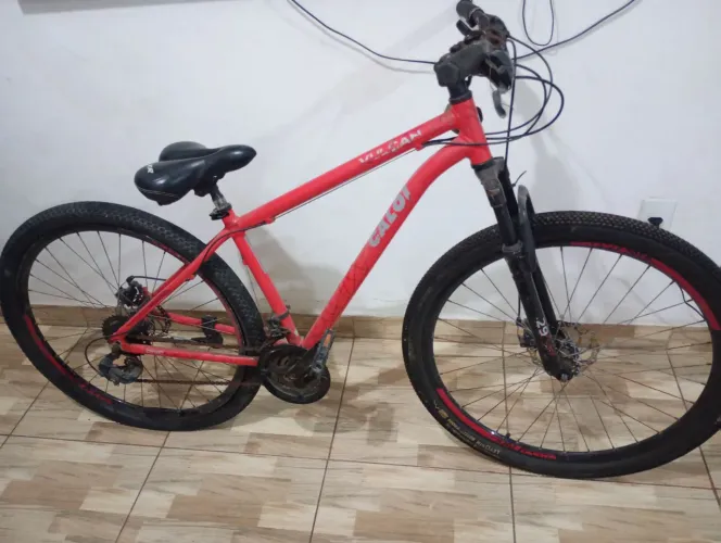 Bicicleta
