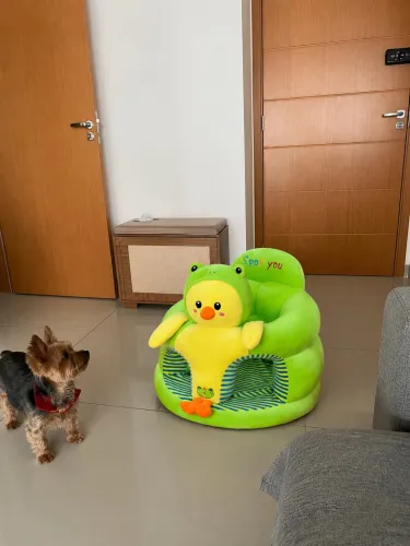 Sofazinho De Apoio Para Bebê Aprender A Sentar - Patinho